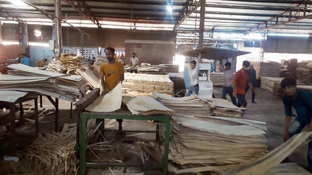 Haryana Plywood Manufactures’ Association Hikes Plywood Prices By 5%